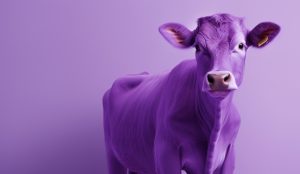 Purple Cow blog